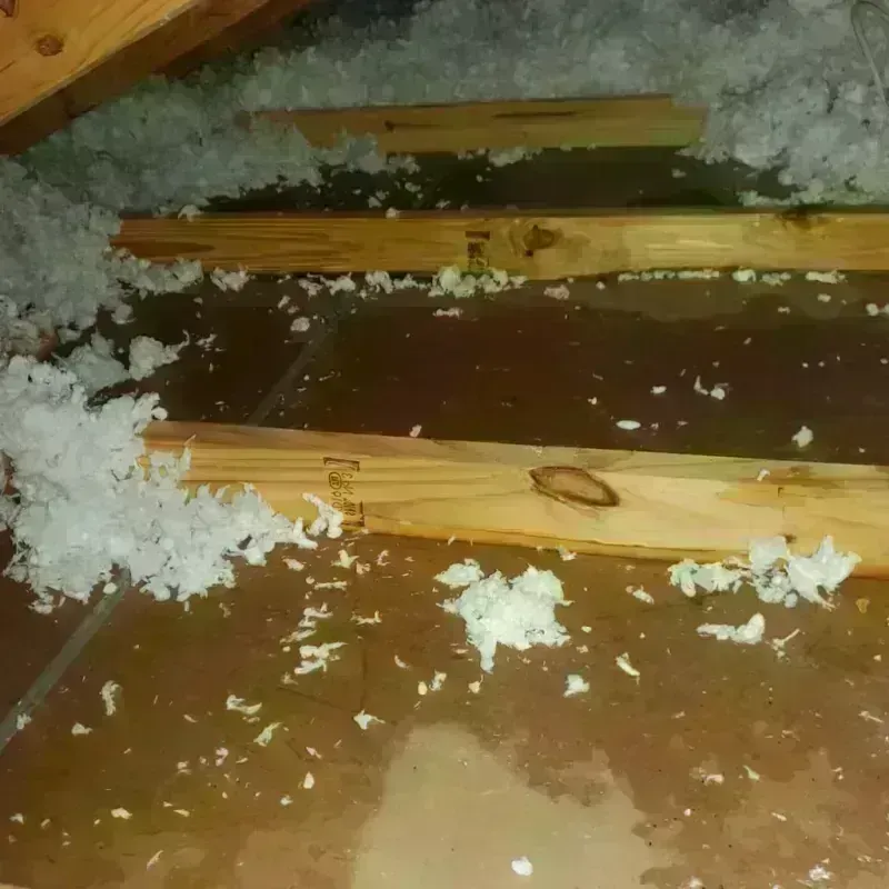 Attic Water Damage in Celoron, NY